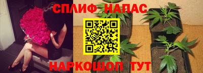a pvp Коммунар