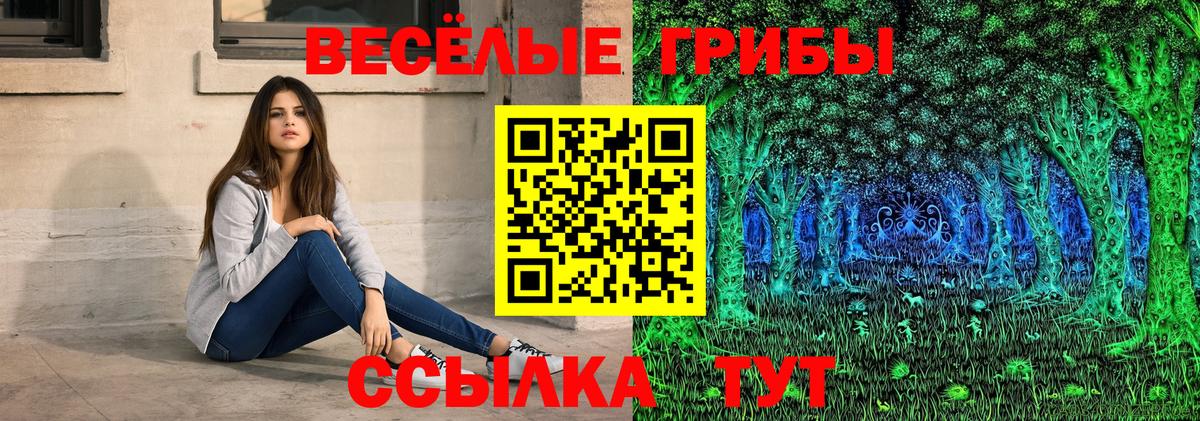 купить   Галлюциногенные грибы Psilocybine cubensis  Вход с VPN  Галлюциногенные грибы Cubensis  Кольчугино 